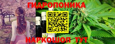 PSILOCYBIN Будённовск