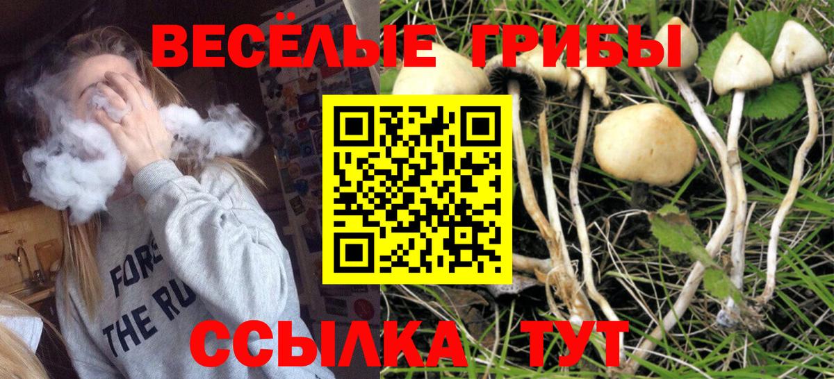 Комсомольск-на-Амуре  Галлюциногенные грибы мицелий  цена   Галлюциногенные грибы MAGIC MUSHROOMS  Вход с VPN 