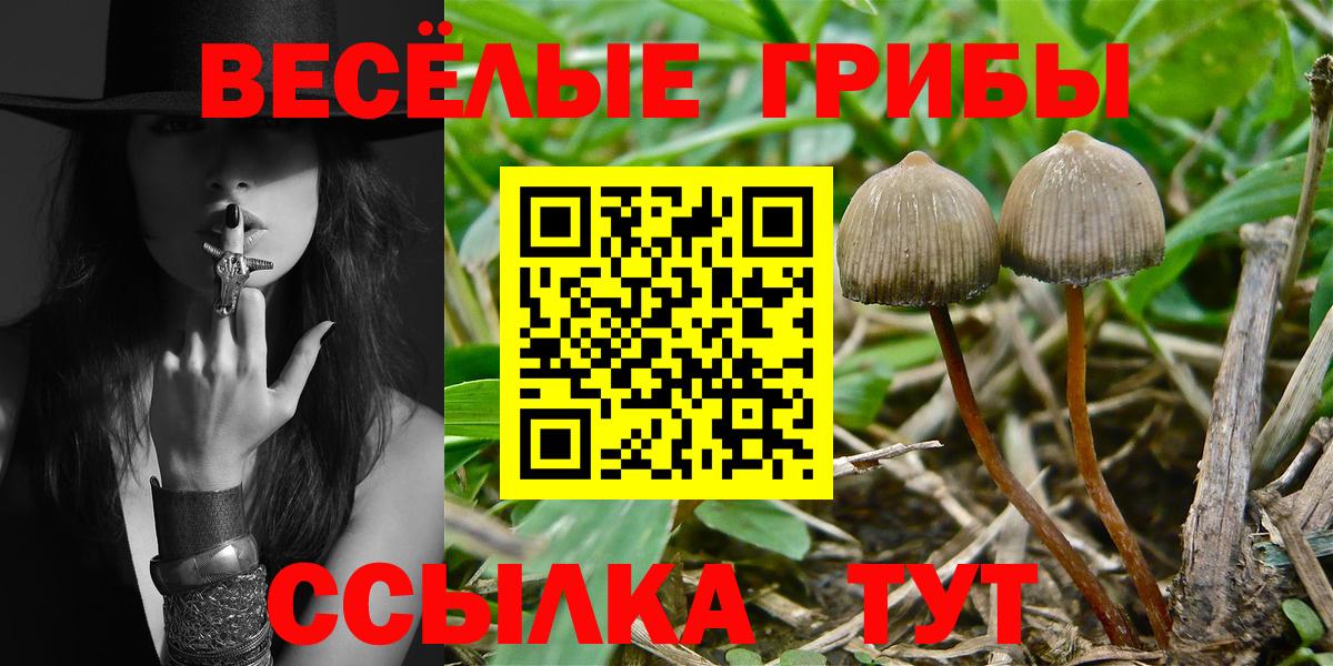 Псилоцибиновые грибы MAGIC MUSHROOMS Комсомольск-на-Амуре